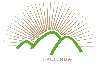 Cafe Flandes
